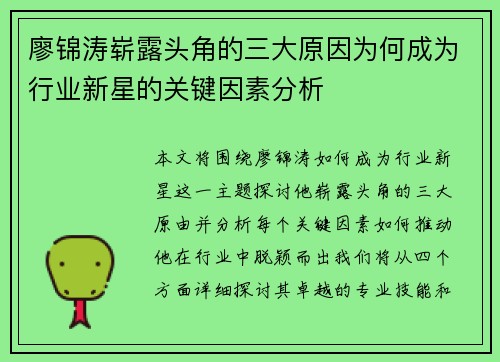 廖锦涛崭露头角的三大原因为何成为行业新星的关键因素分析