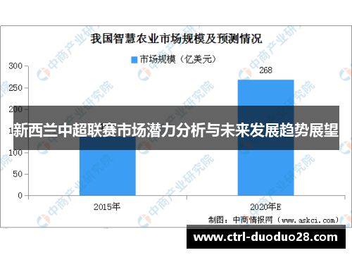 新西兰中超联赛市场潜力分析与未来发展趋势展望