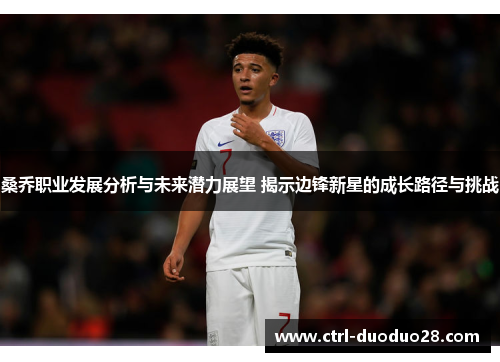 桑乔职业发展分析与未来潜力展望 揭示边锋新星的成长路径与挑战 桑乔职业发展分析与未来潜力展望 揭示边锋新星的成长路径与挑战